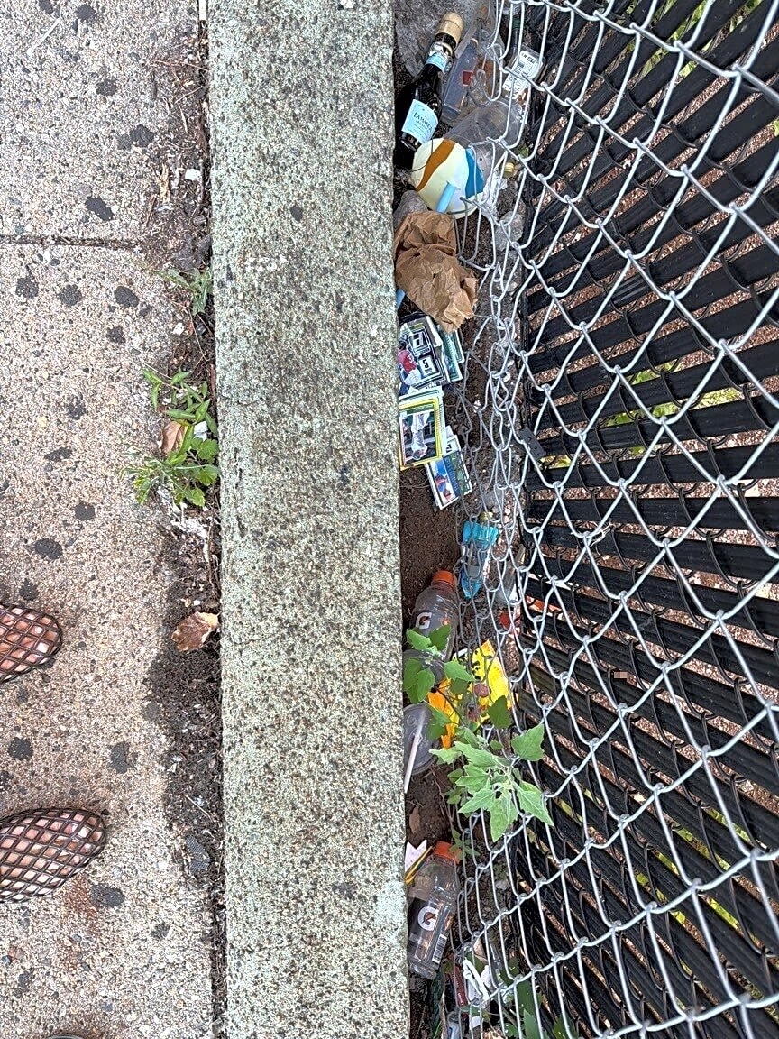 Image submitted with report