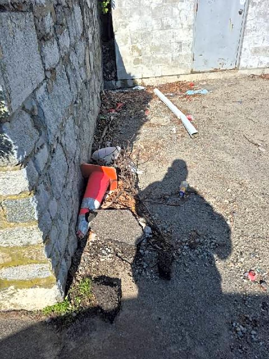 Image submitted with report