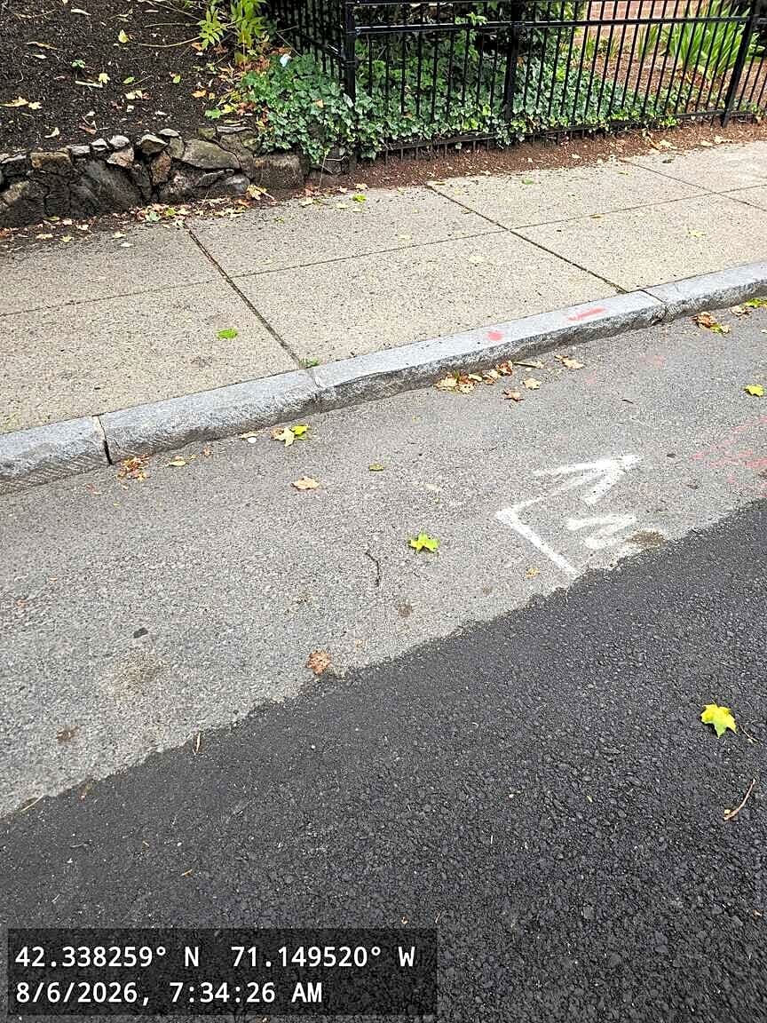 Image submitted with report