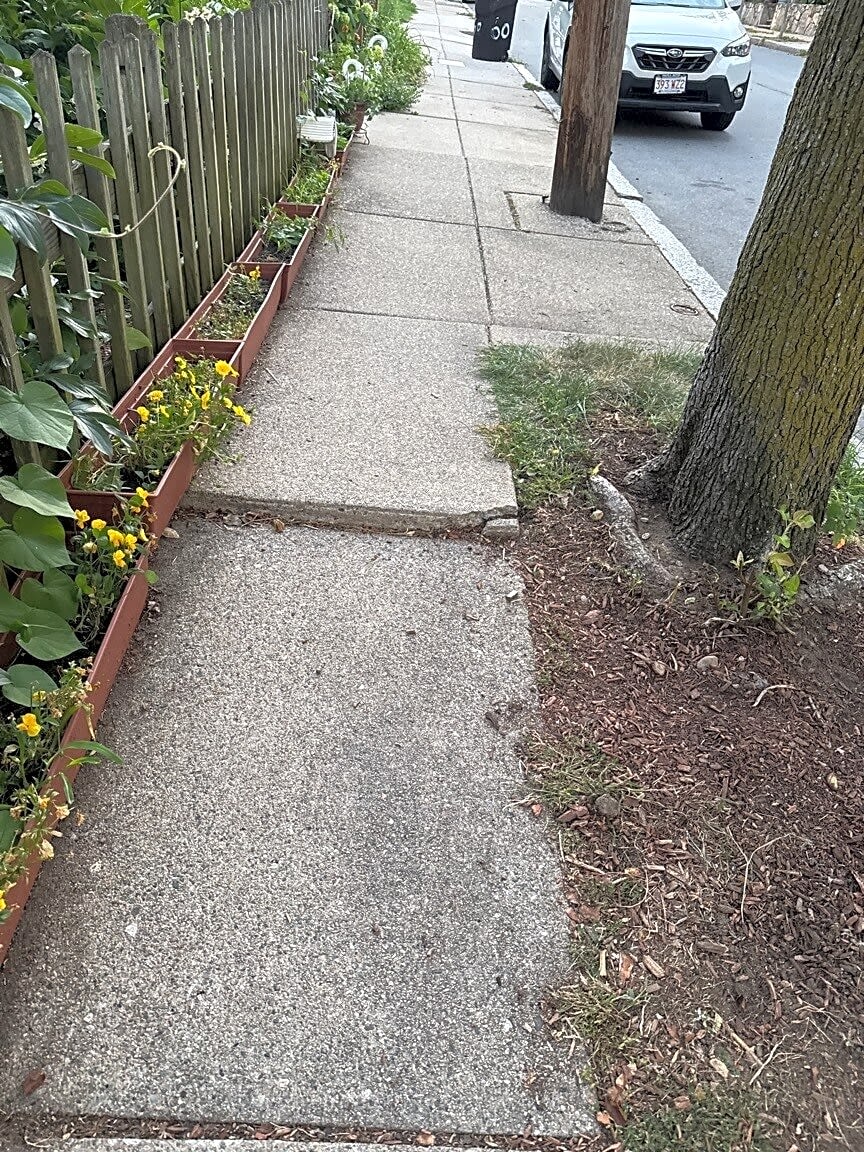Image submitted with report