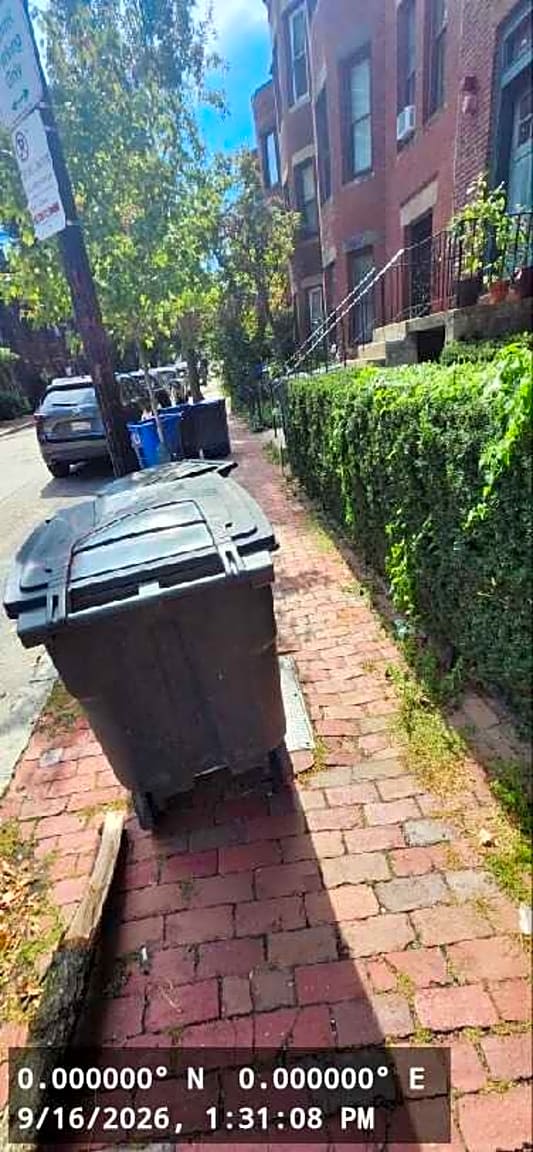 Image submitted with report