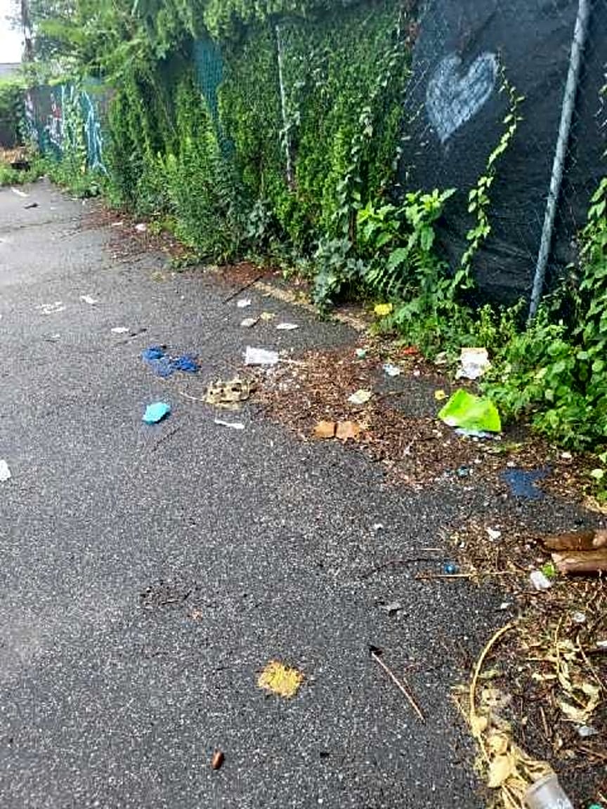 Image submitted with report