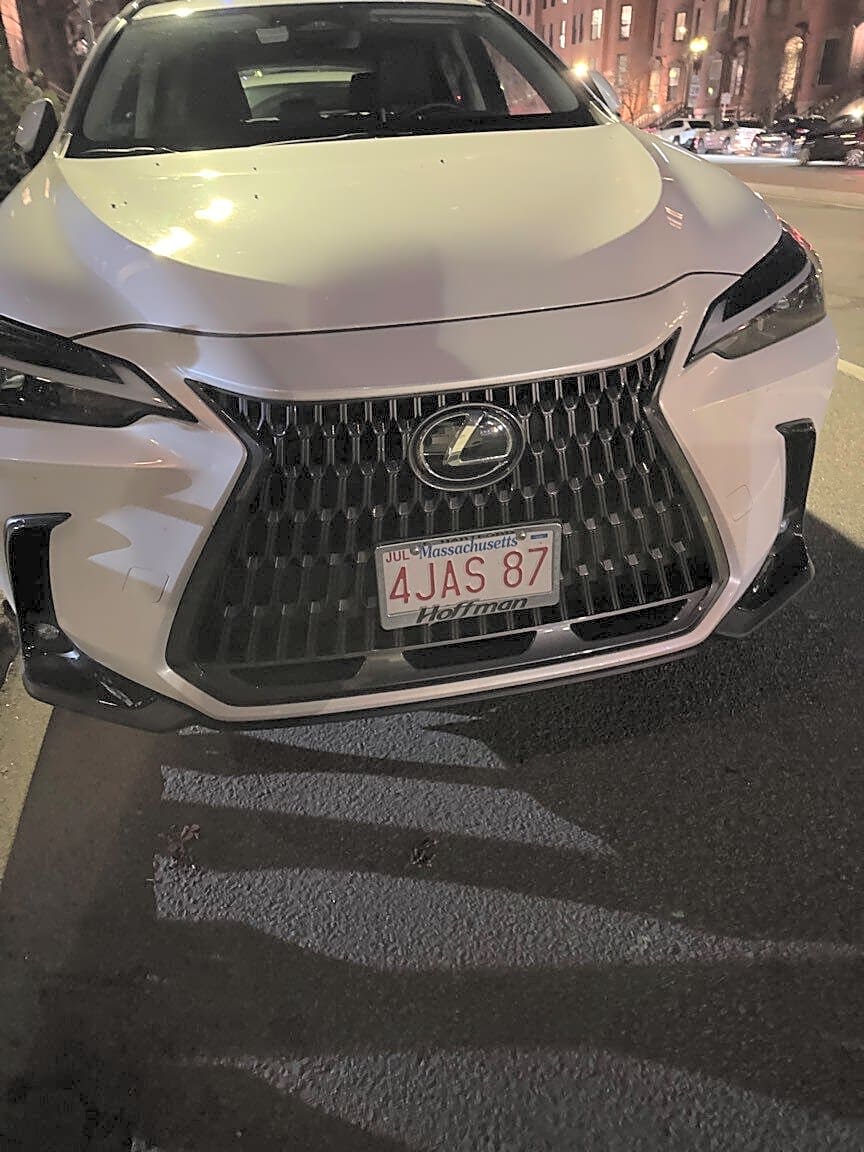 Image submitted with report