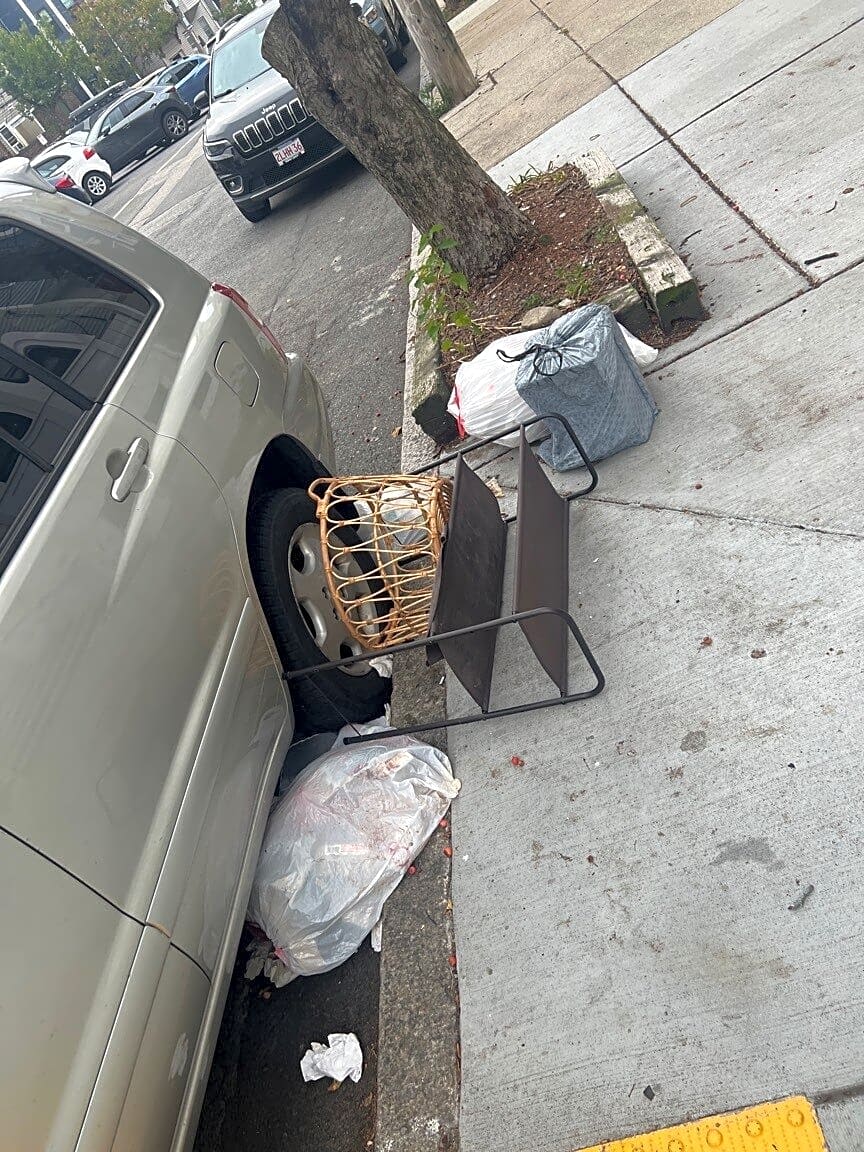 Image submitted with report