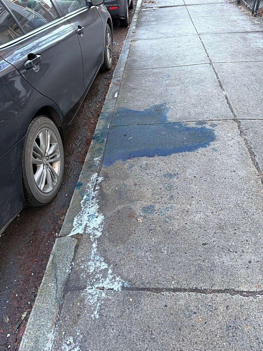 Image submitted with report