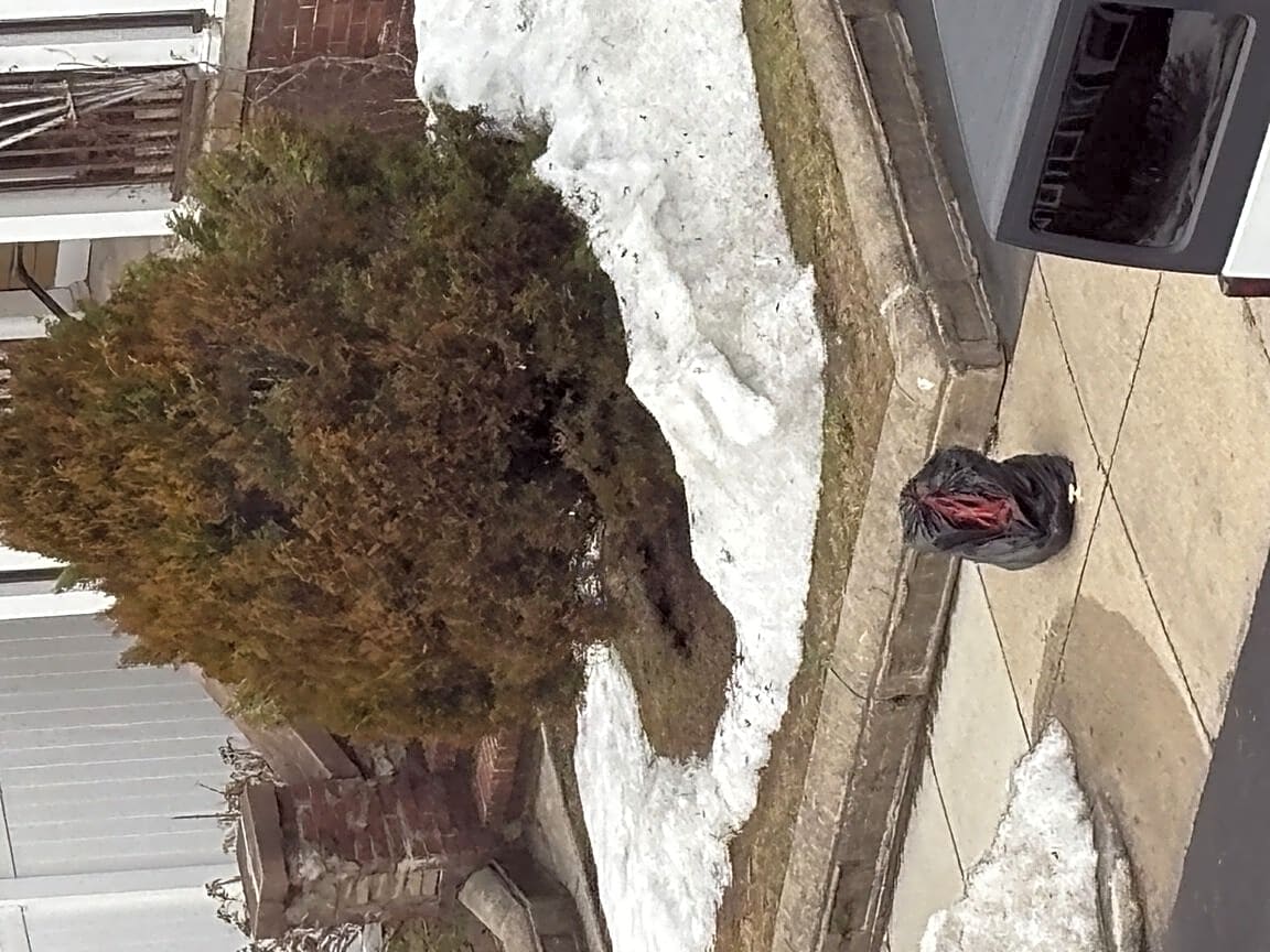 Image submitted with report