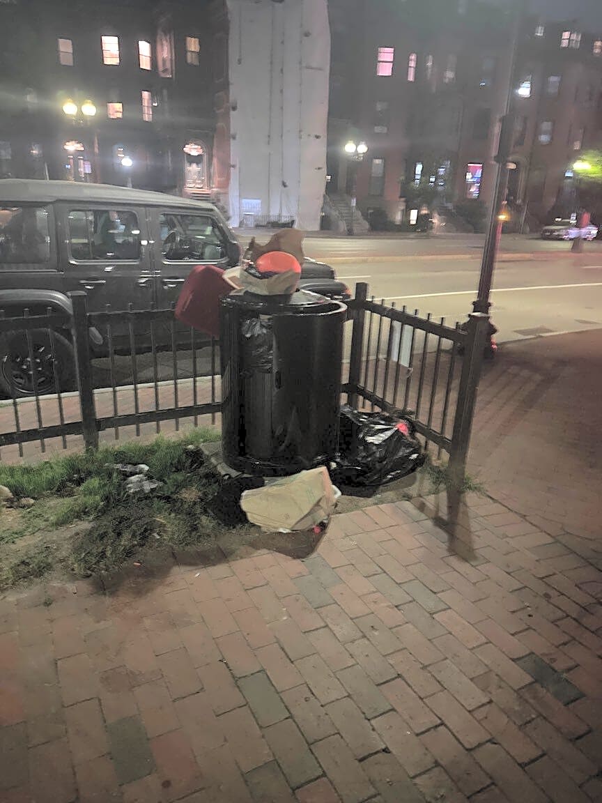 Image submitted with report