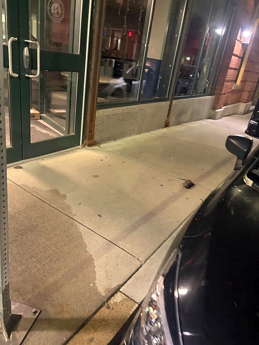 Image submitted with report