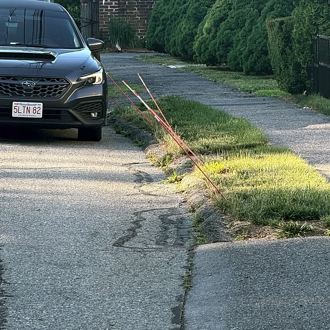 Image submitted with report