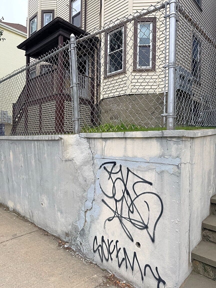 Image submitted with report