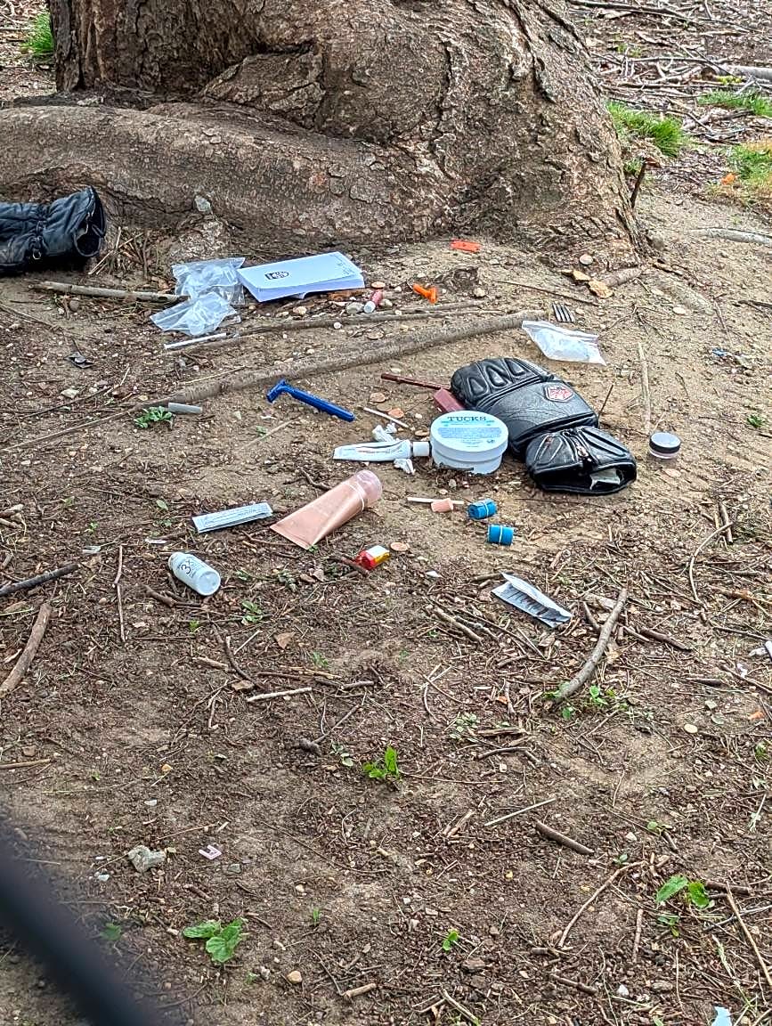 Image submitted with report