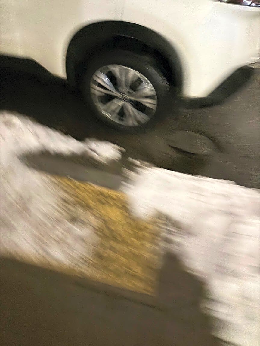 Image submitted with report