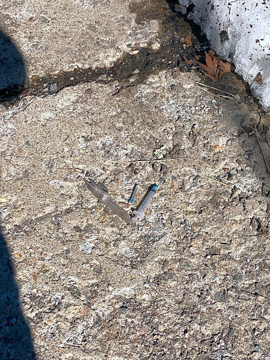 Image submitted with report