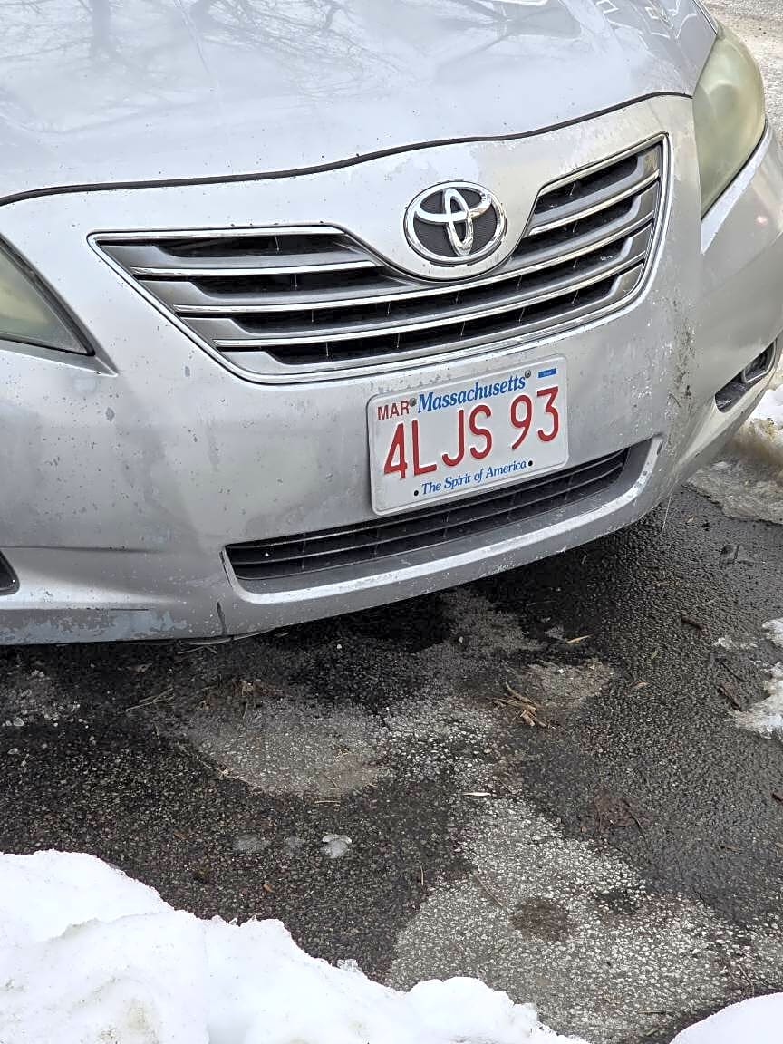 Image submitted with report