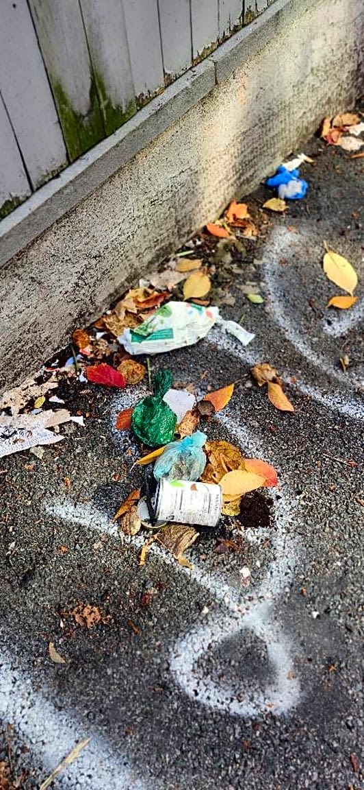 Image submitted with report