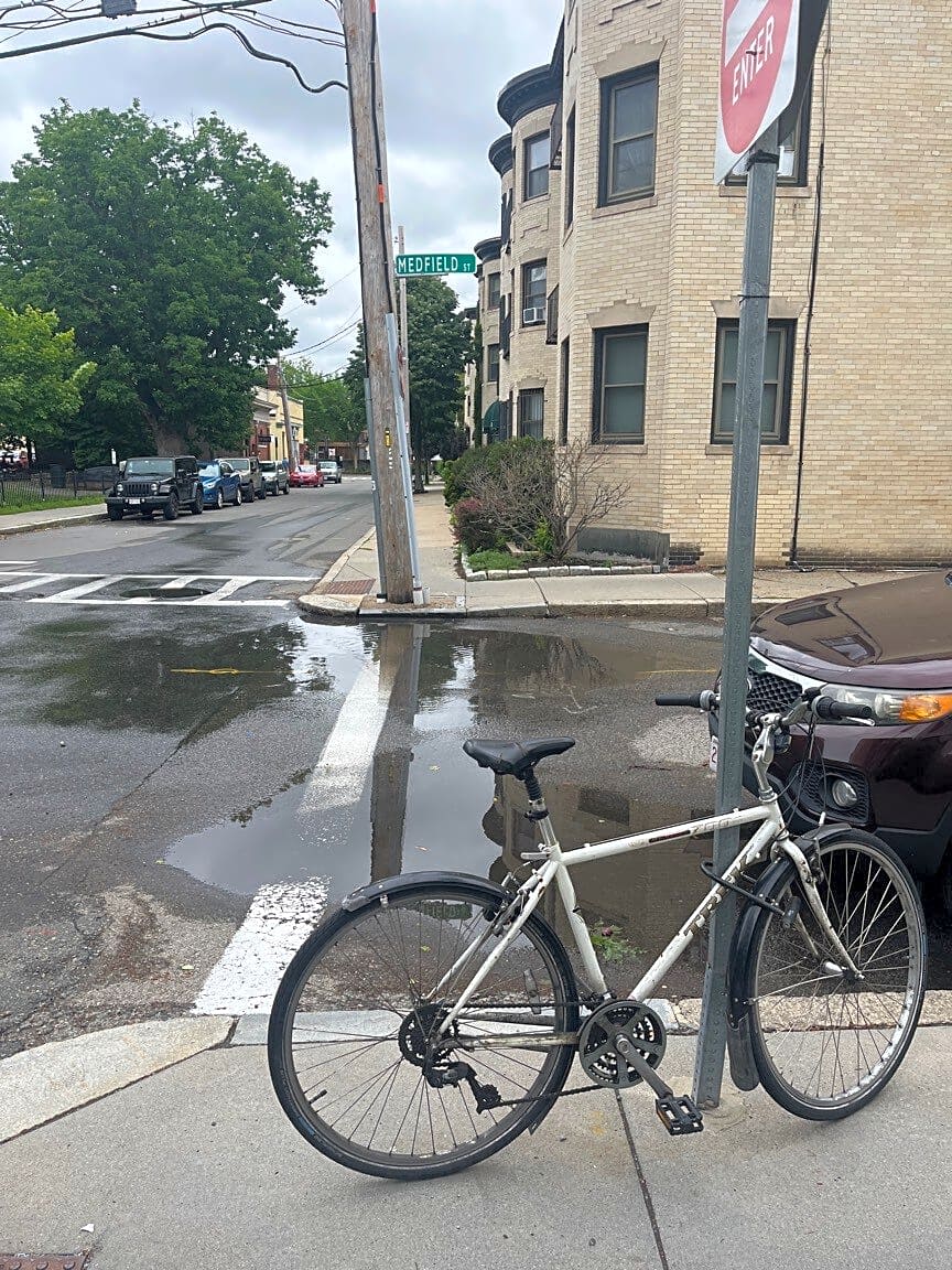 Image submitted with report