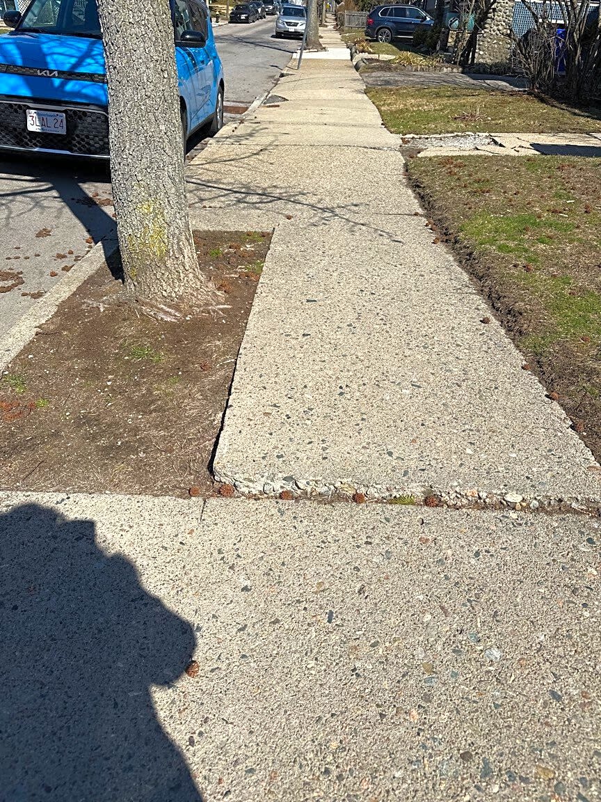 Image submitted with report