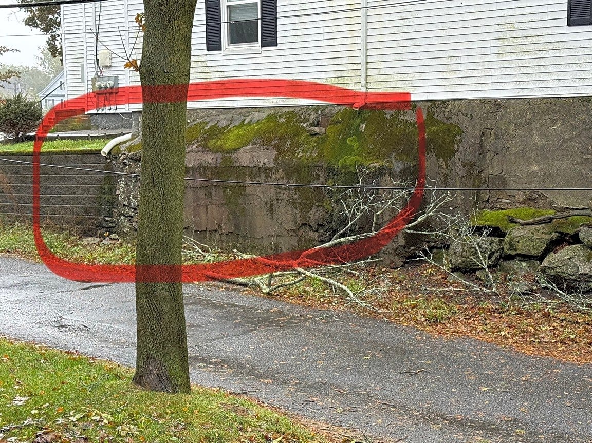 Image submitted with report