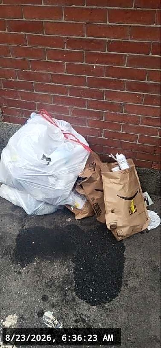 Image submitted with report