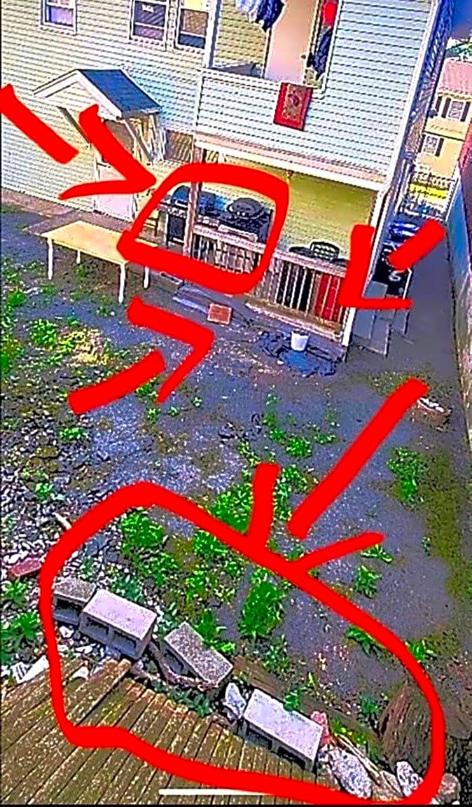 Image submitted with report