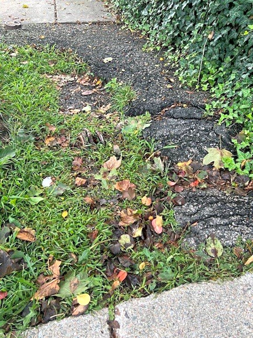 Image submitted with report