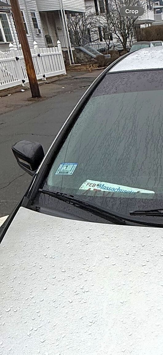 Image submitted with report