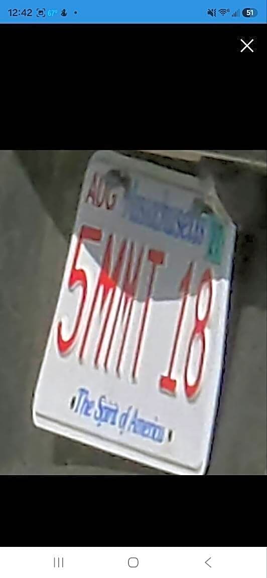 Image submitted with report