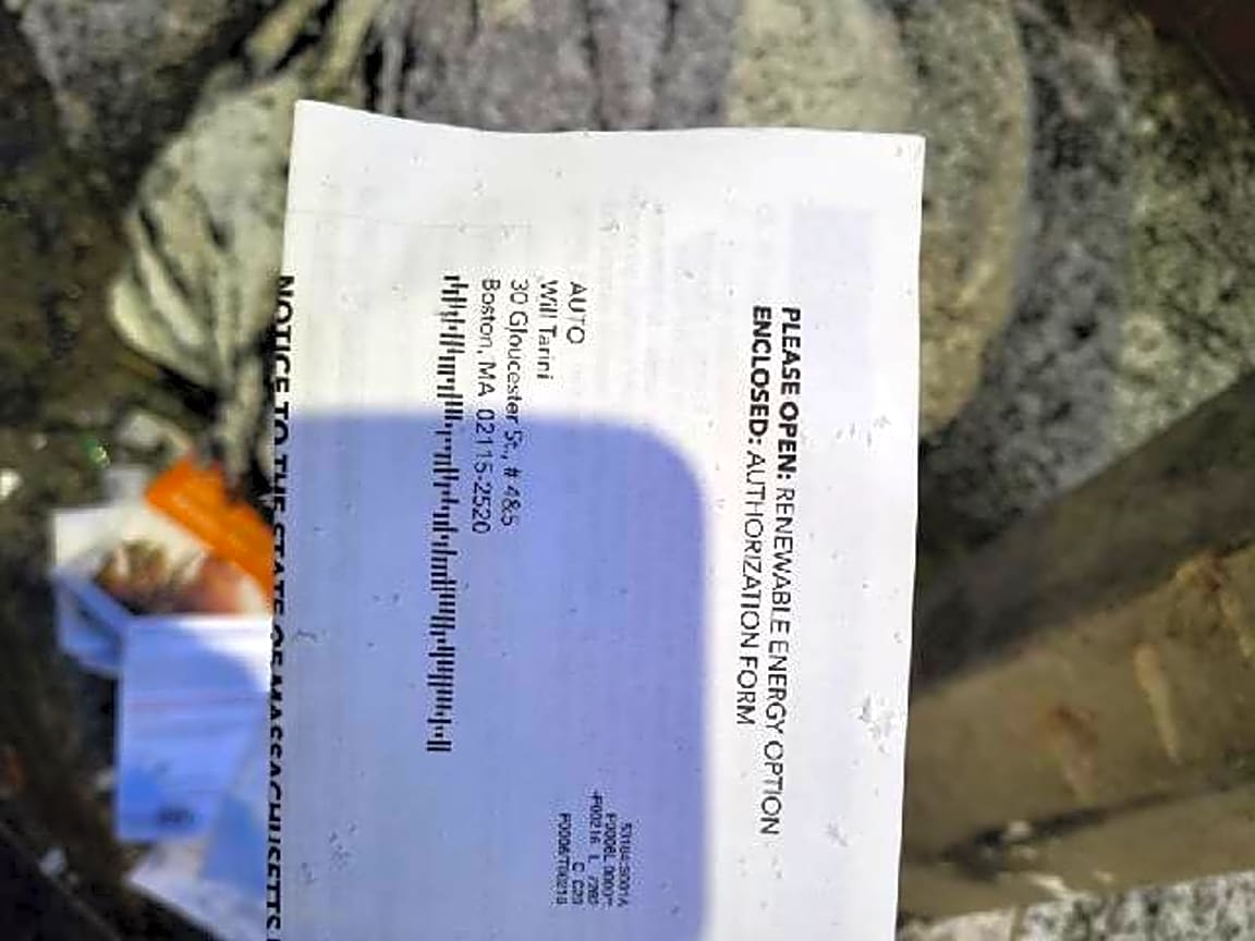 Image submitted with report