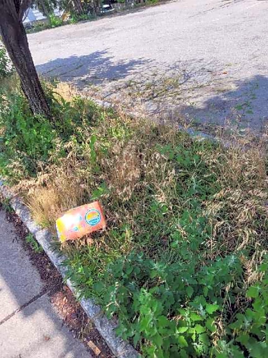 Image submitted with report