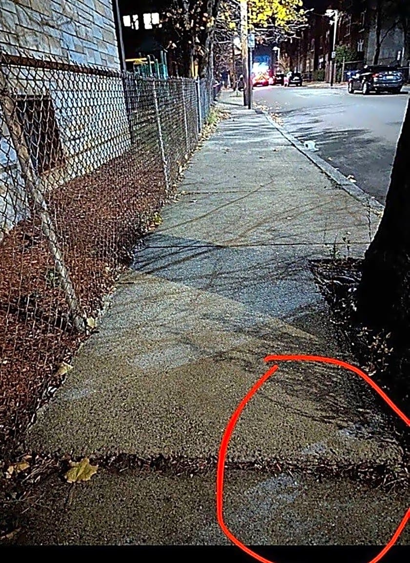 Image submitted with report