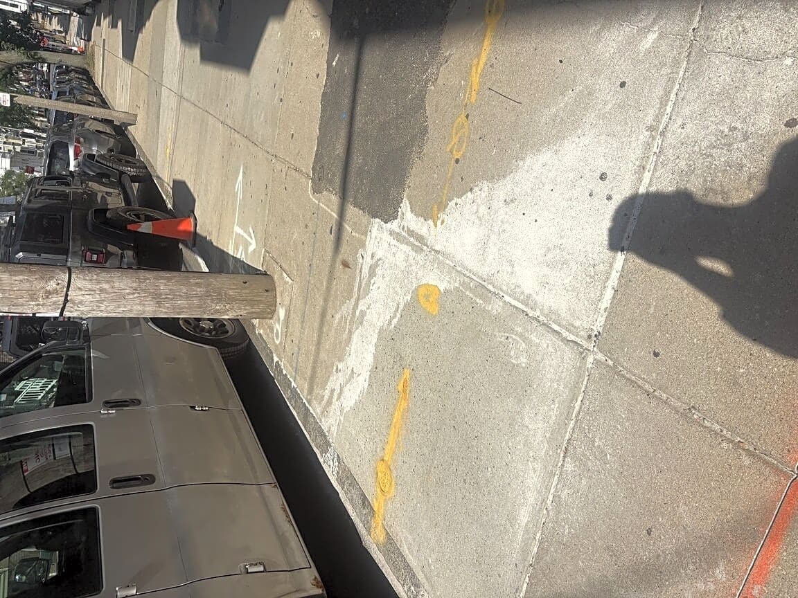 Image submitted with report