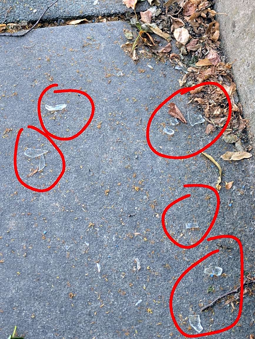 Image submitted with report