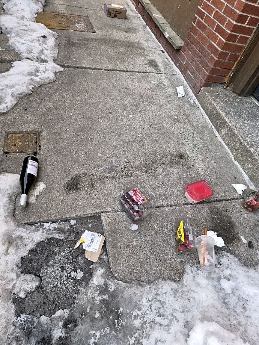 Image submitted with report