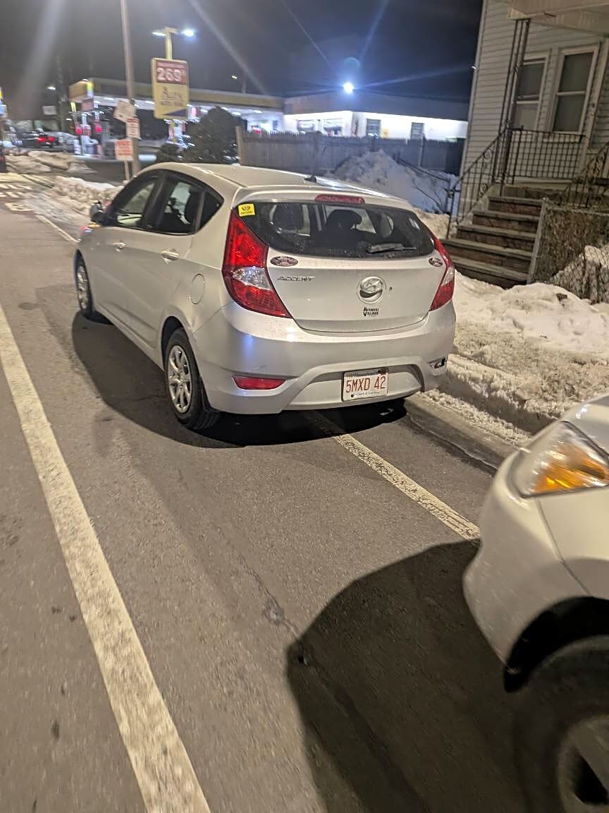 Image submitted with report