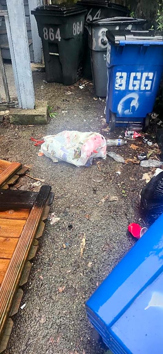 Image submitted with report