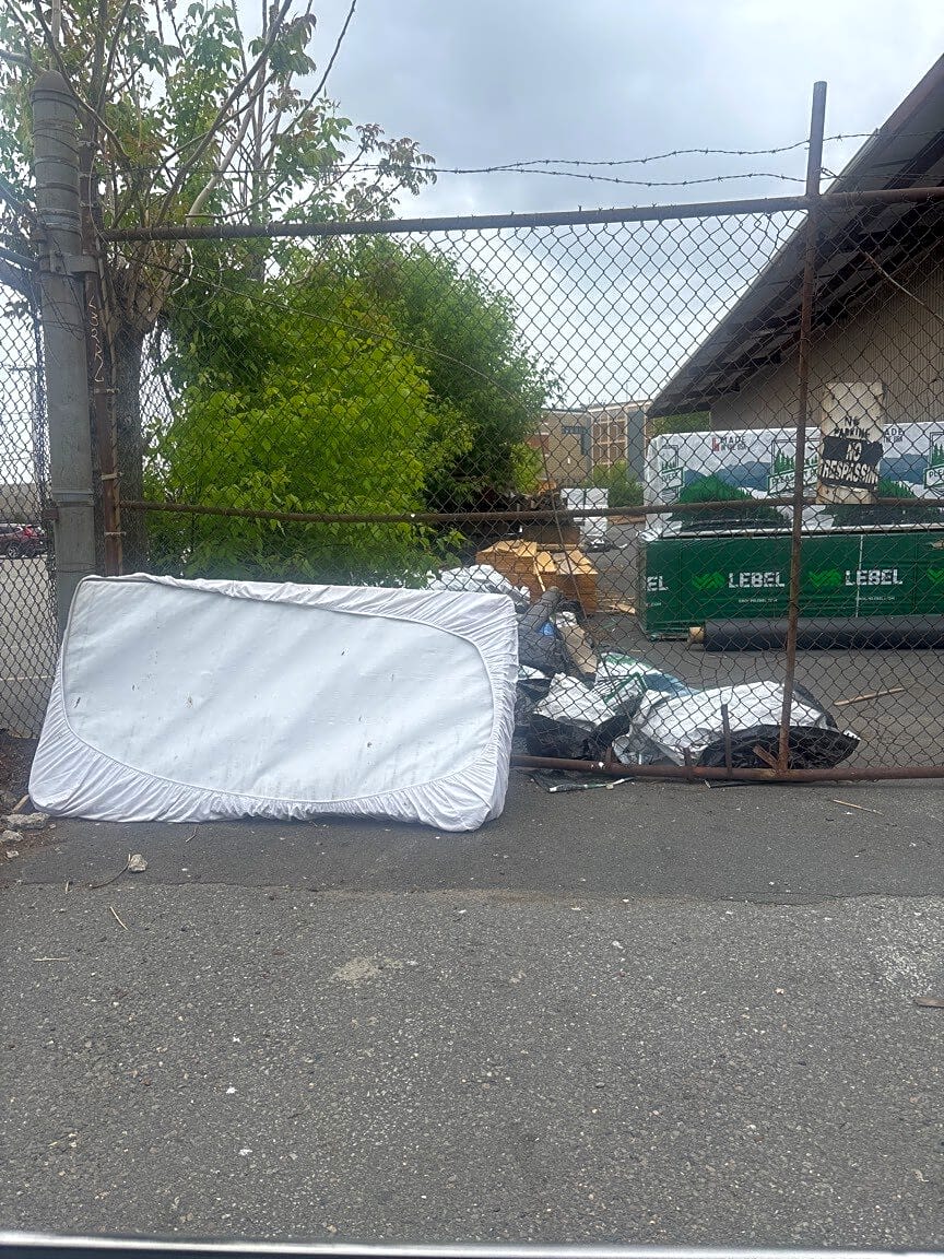 Image submitted with report