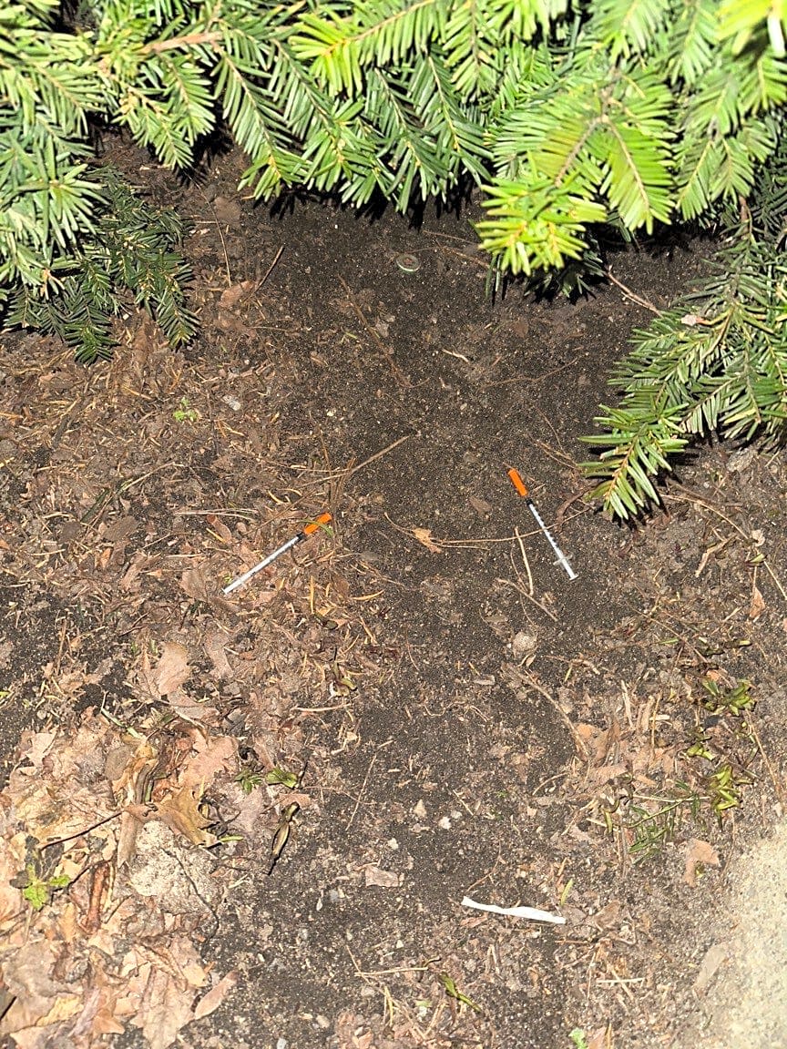 Image submitted with report