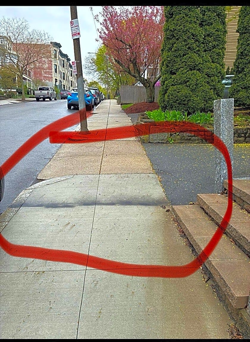 Image submitted with report