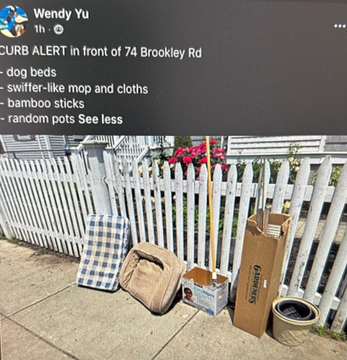 Image submitted with report
