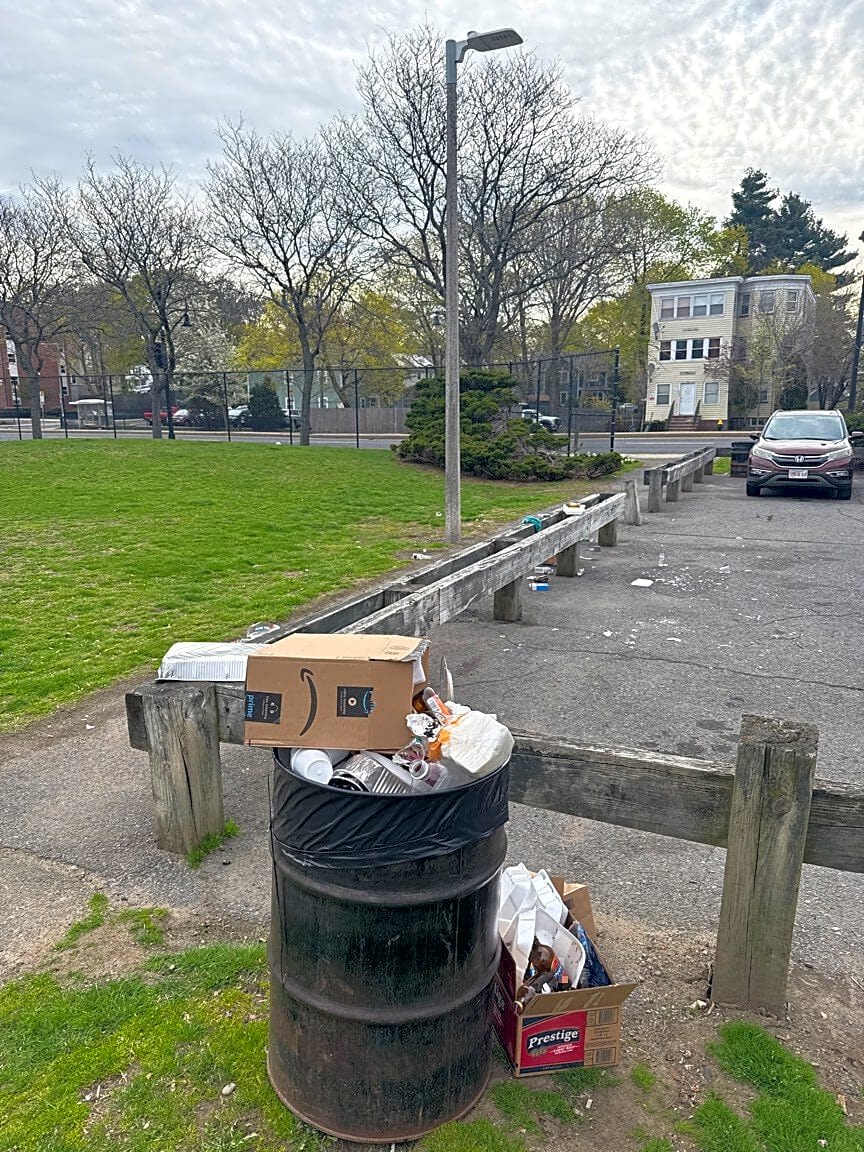 Image submitted with report