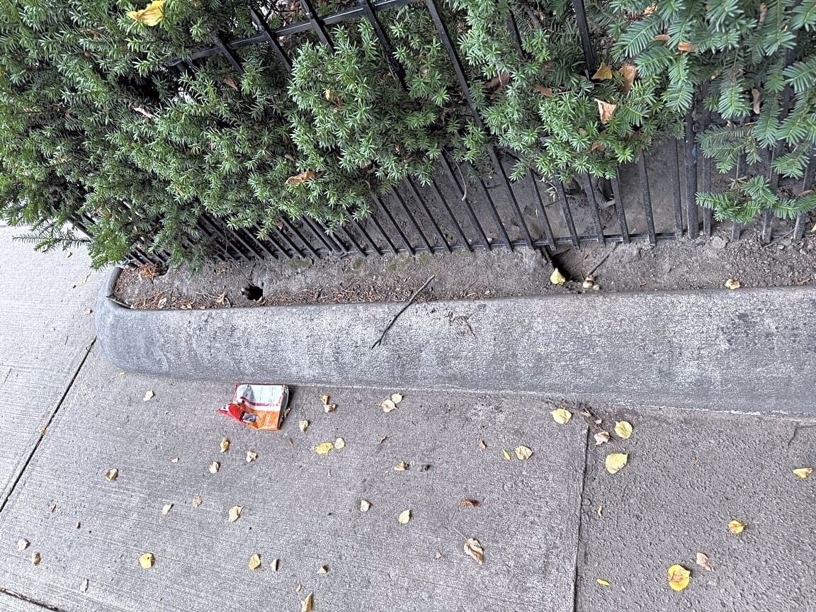 Image submitted with report