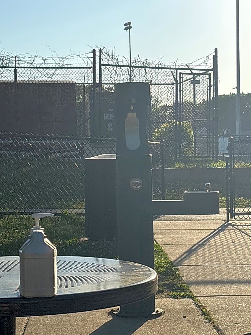 Image submitted with report