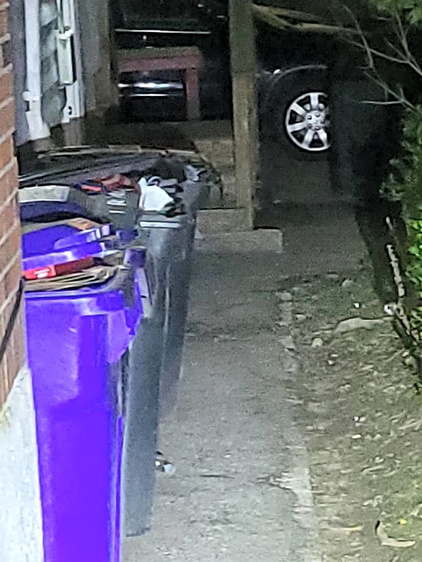 Image submitted with report