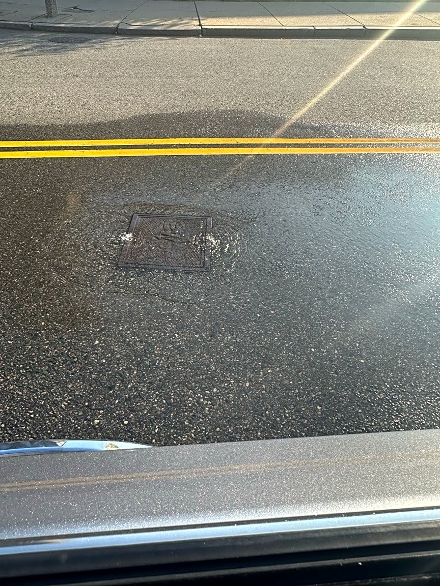 Image submitted with report