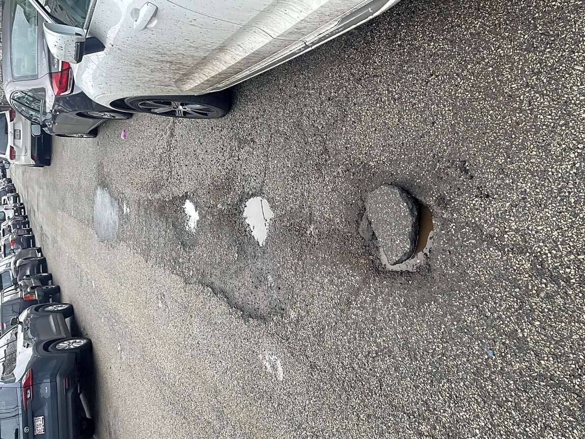 Image submitted with report