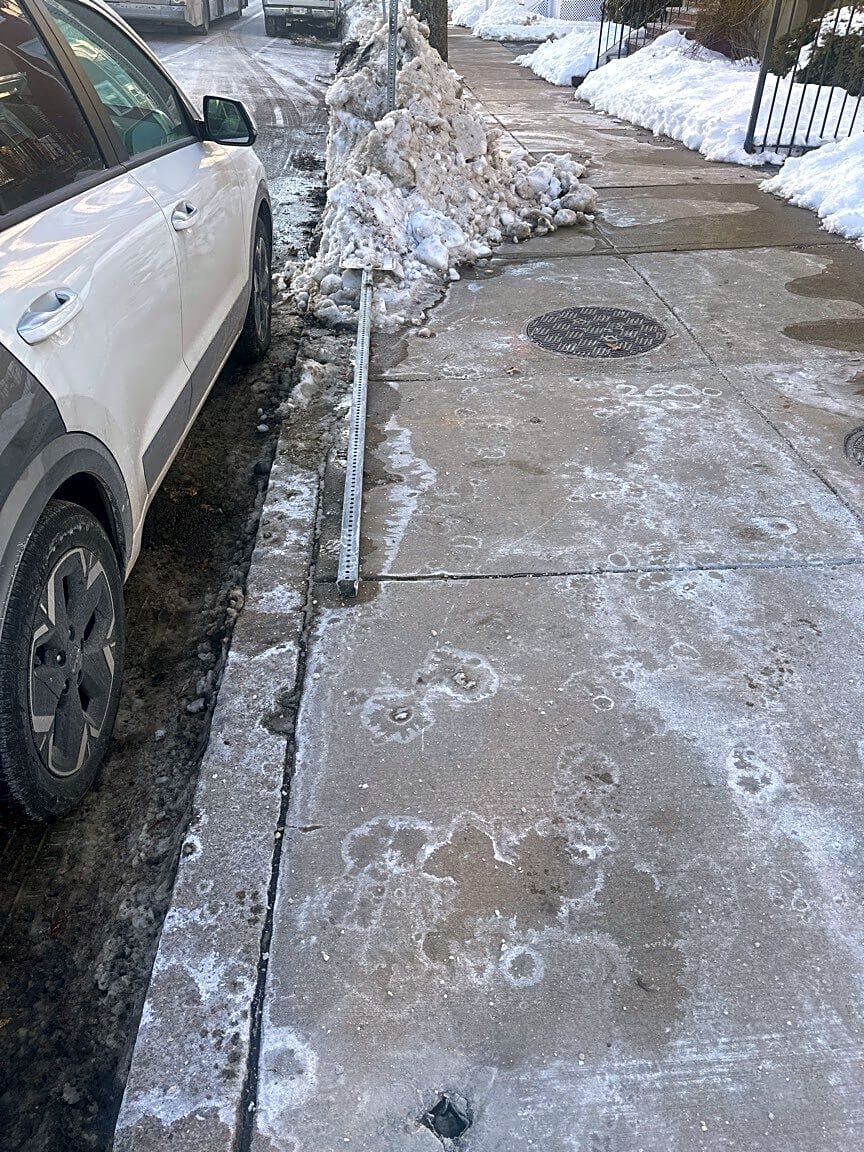 Image submitted with report