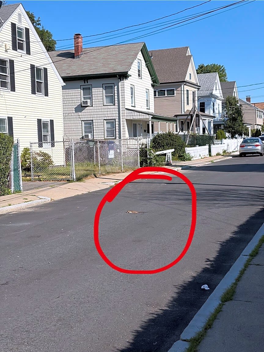 Image submitted with report