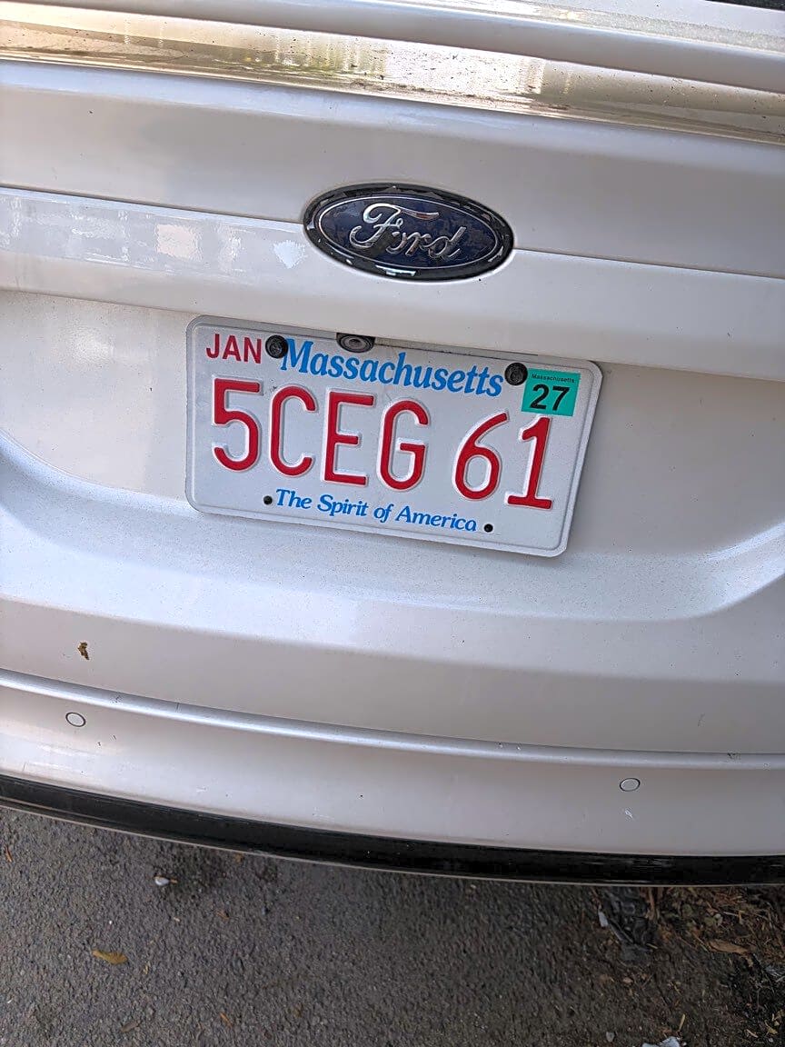 Image submitted with report