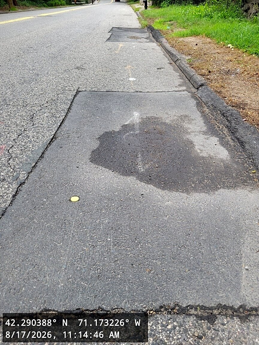 Image submitted with report