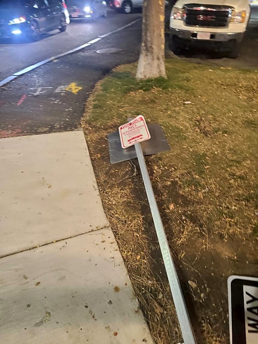 Image submitted with report